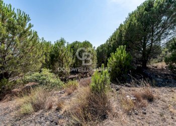 Foto 10 - Terreno agricolo Via Ragala Montarso, Nicolosi - foto 10