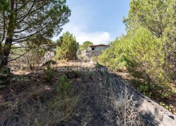 Foto 11 - Terreno agricolo Via Ragala Montarso, Nicolosi - foto 11