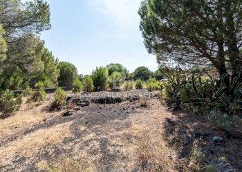 Foto 12 - Terreno agricolo Via Ragala Montarso, Nicolosi - foto 12