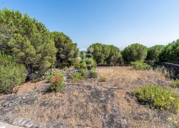 Foto 16 - Terreno agricolo Via Ragala Montarso, Nicolosi - foto 16