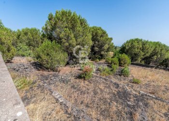 Foto 17 - Terreno agricolo Via Ragala Montarso, Nicolosi - foto 17