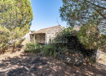 Foto 19 - Terreno agricolo Via Ragala Montarso, Nicolosi - foto 19