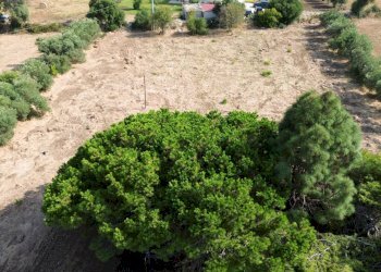 Foto 3 - Terreno edificabile Via Isola, Siracusa - foto 3