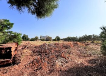 Foto 6 - Terreno edificabile Via Isola, Siracusa - foto 6