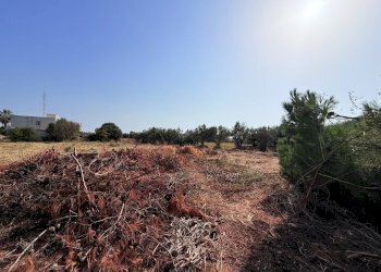 Foto 7 - Terreno edificabile Via Isola, Siracusa - foto 7