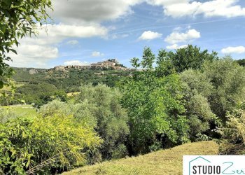 Foto 41 - Rustic rimembranze
 
22, Amelia - photo 41