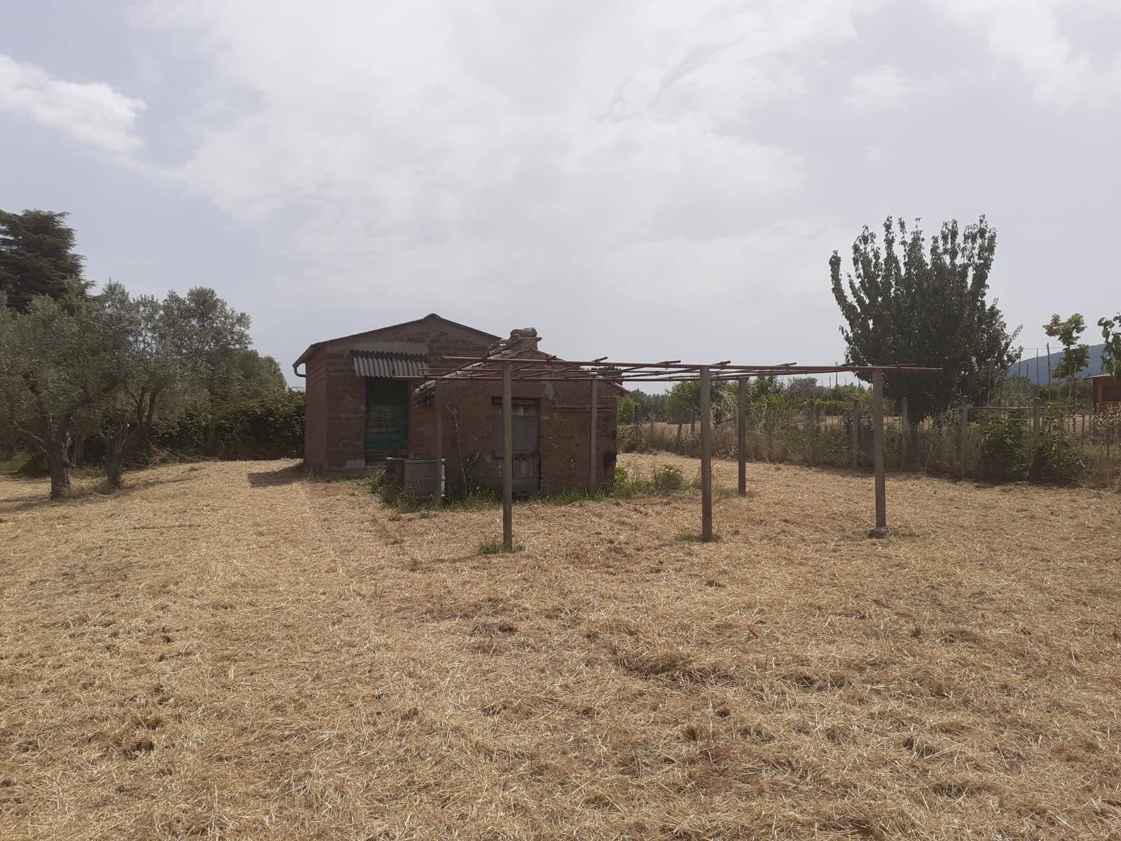 Foto 2 - Agricultural land Viterbo - photo 2