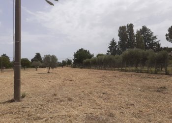 Foto 1 - Terreno agricolo Viterbo - foto 1