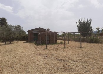 Foto 2 - Terreno agricolo Viterbo - foto 2