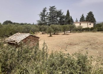 Foto 4 - Terreno agricolo Viterbo - foto 4