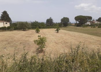 Foto 5 - Terreno agricolo Viterbo - foto 5