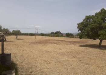 Foto 6 - Terreno agricolo Viterbo - foto 6