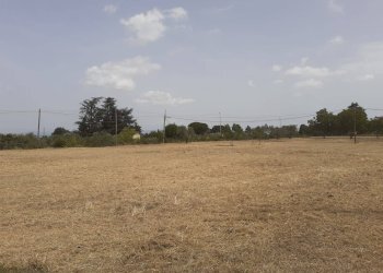 Foto 8 - Terreno agricolo Viterbo - foto 8