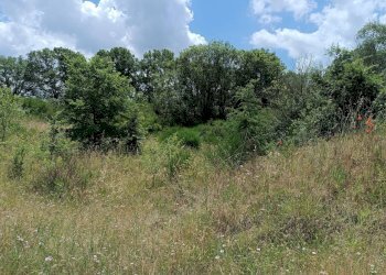 Foto 7 - Quadrilocale Celleno - foto 7