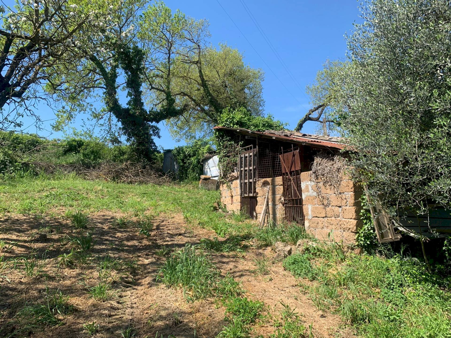 Foto 3 - Rustico Graffignano - foto 3