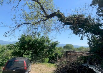 Foto 10 - Rustico Graffignano - foto 10