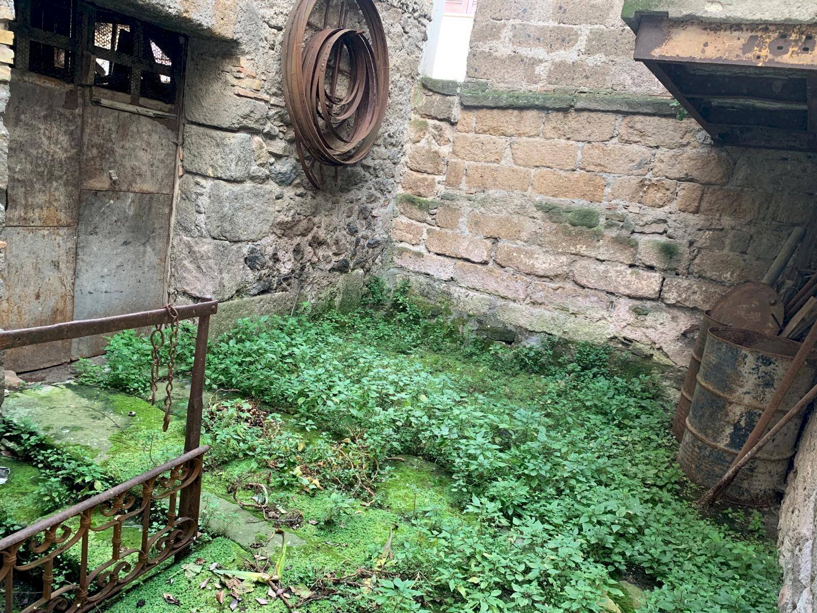 Foto 1 - Warehouse Viterbo - photo 1