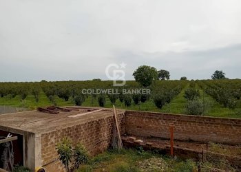 Foto 34 - Villa Via dei Tirreni
 
54, Fabrica di Roma - foto 34