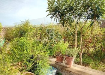 Foto 18 - Villa Via dei Tirreni
 
54, Fabrica di Roma - foto 18