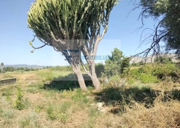 Villa Traversa Vallone Carancino, Siracusa - foto 11