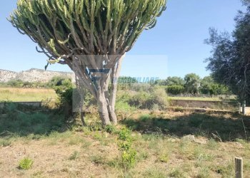 Villa Traversa Vallone Carancino, Siracusa - foto 12