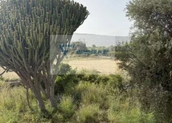 Villa Traversa Vallone Carancino, Siracusa - foto 23