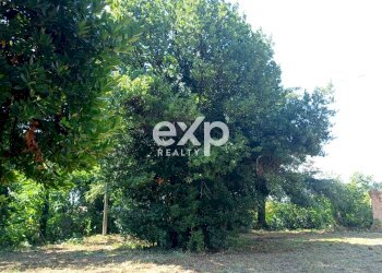 Villa Localita Belgatto, Fano - foto 13