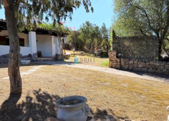 Villa Murta Maria, Olbia - foto 33