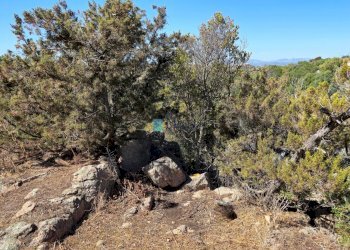 Villa Murta Maria, Olbia - foto 43