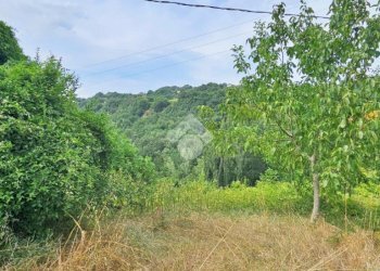 Casa semi indipendente Via capanne, Tavoleto - foto 12