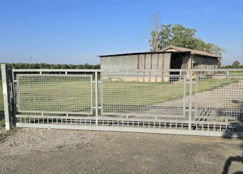 Casa indipendente Stradello Zuccoli 4, Carpi - foto 12
