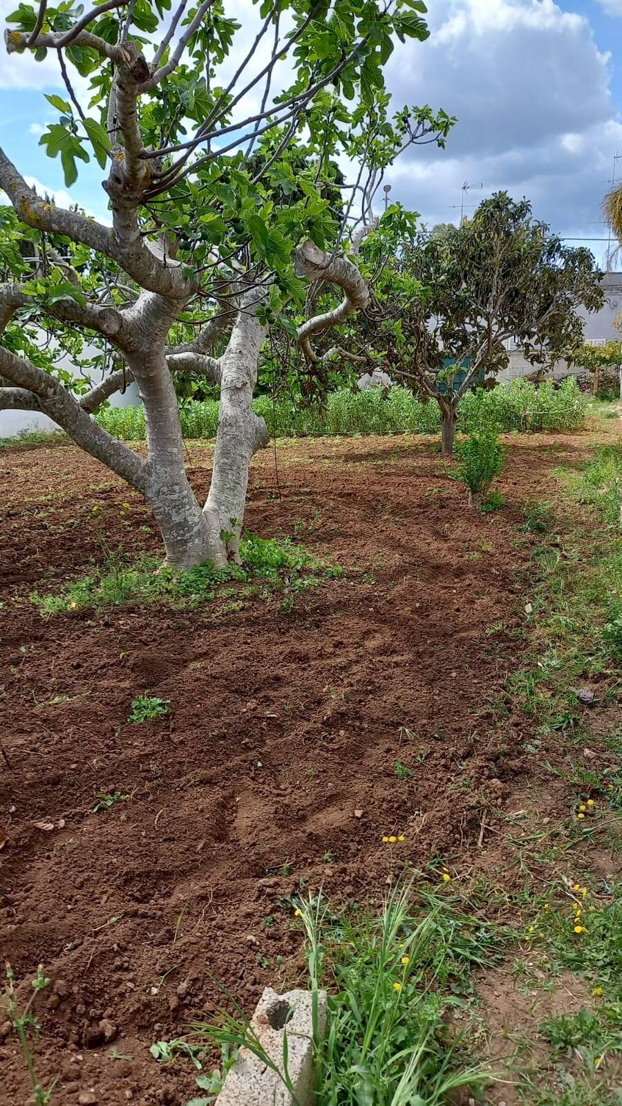 Foto 2 - Terreno edificabile via luciano pavarotti, Lecce - foto 2
