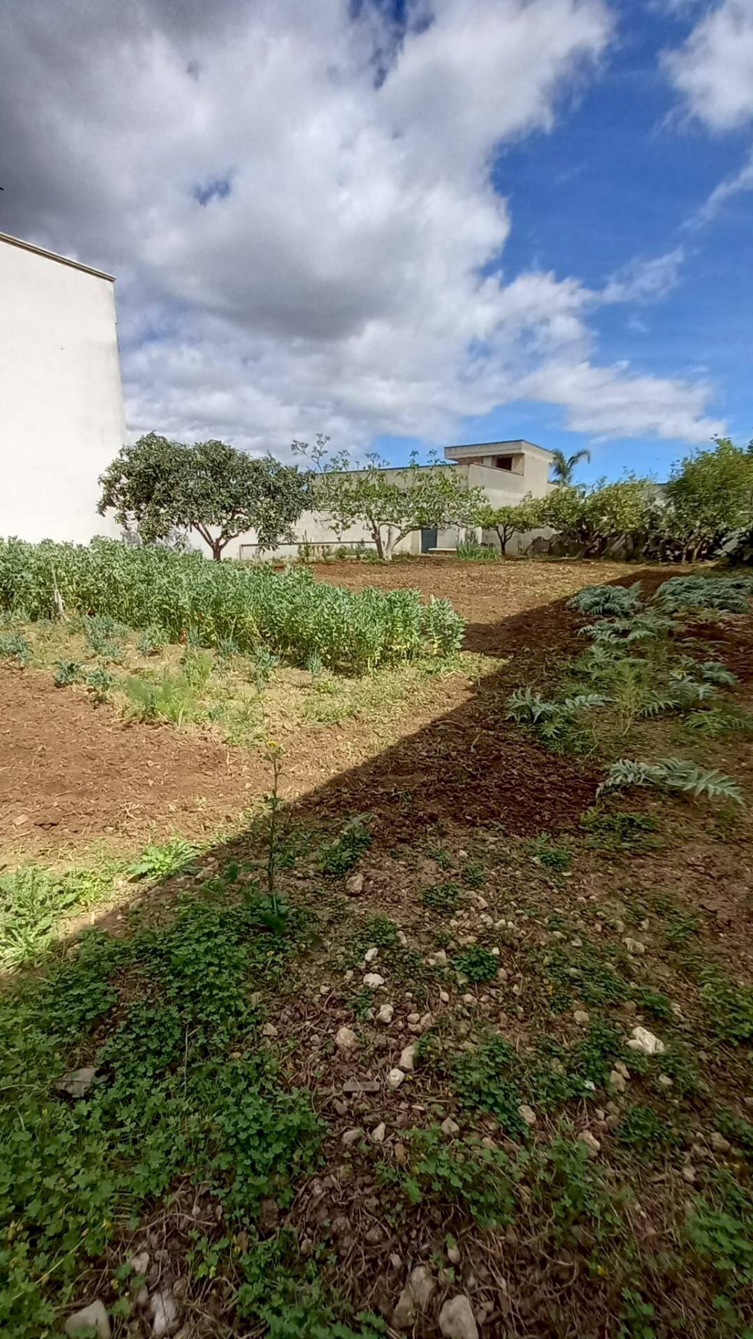 Foto 3 - Terreno edificabile via luciano pavarotti, Lecce - foto 3