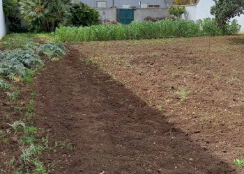 Foto 1 - Terreno edificabile via luciano pavarotti, Lecce - foto 1