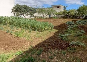 Foto 3 - Terreno edificabile via luciano pavarotti, Lecce - foto 3