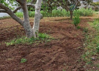 Foto 4 - Terreno edificabile via luciano pavarotti, Lecce - foto 4