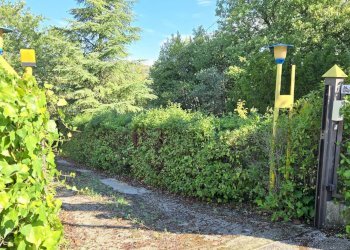 Foto 3 - Casa indipendente Contrada Pietrarola, Chiusano di San Domenico - foto 3