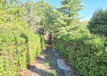 Foto 4 - Casa indipendente Contrada Pietrarola, Chiusano di San Domenico - foto 4