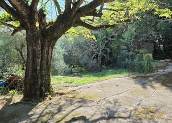 Foto 6 - Casa indipendente Contrada Pietrarola, Chiusano di San Domenico - foto 6