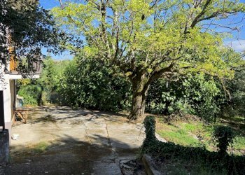 Foto 11 - Casa indipendente Contrada Pietrarola, Chiusano di San Domenico - foto 11