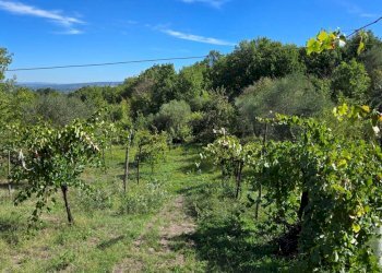 Foto 28 - Casa indipendente Contrada Pietrarola, Chiusano di San Domenico - foto 28