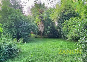 Foto 13 - Casa indipendente Via Cipriani, Gorizia - foto 13