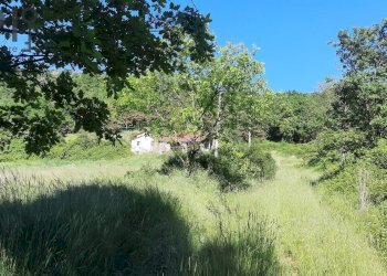 Foto 15 - Rustico loc. recoaro, Cairo Montenotte - foto 15