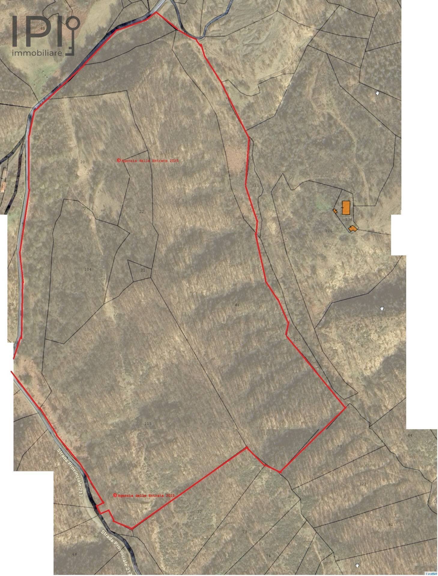 Foto 1 - Terreno agricolo strada malvicino, Pareto - foto 1