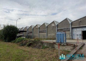 Foto 7 - Capannone Viale Industria
 
13, Bottanuco - foto 7