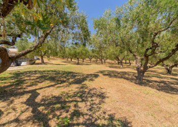 Foto 47 - Villa Via Maddalena
 
49/a, Vasto - foto 47