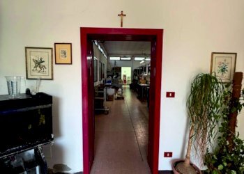 Foto 14 - Capannone Voghiera - foto 14