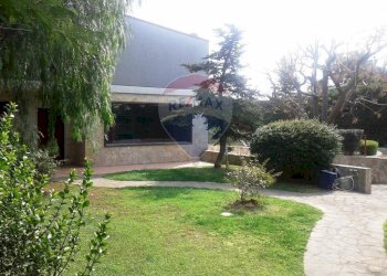 Giardino - Casa semi indipendente Via Bari
 
283, Valenzano - foto 9