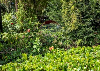Giardino - Apartment Via Annunziata
 
2, Messina - photo 26