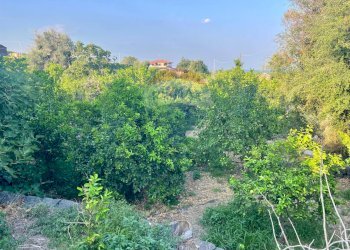 Giardino - Terreno agricolo Via Colomba
 
34, Acireale - foto 3